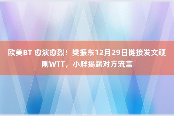 欧美BT 愈演愈烈！樊振东12月29日链接发文硬刚WTT，小胖揭露对方流言