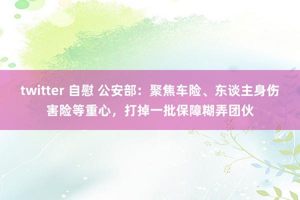 twitter 自慰 公安部：聚焦车险、东谈主身伤害险等重心，打掉一批保障糊弄团伙