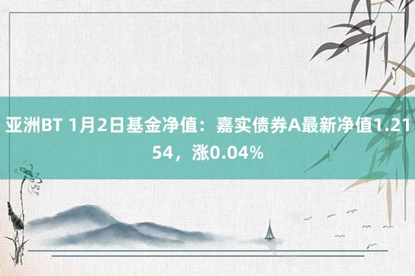 亚洲BT 1月2日基金净值：嘉实债券A最新净值1.2154，涨0.04%