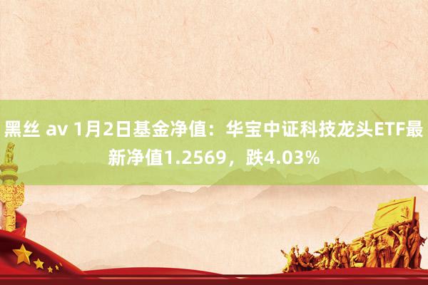 黑丝 av 1月2日基金净值：华宝中证科技龙头ETF最新净值1.2569，跌4.03%