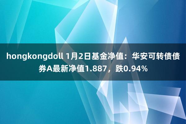 hongkongdoll 1月2日基金净值：华安可转债债券A最新净值1.887，跌0.94%