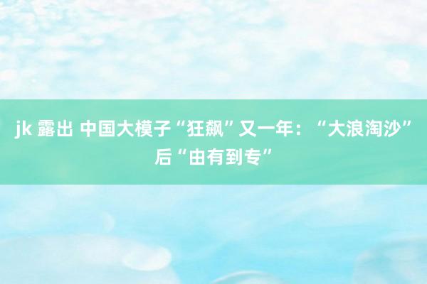 jk 露出 中国大模子“狂飙”又一年：“大浪淘沙”后“由有到专”