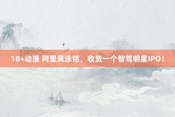 18+动漫 阿里吴泳铭，收货一个智驾明星IPO！