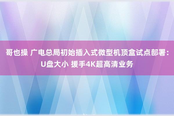 哥也操 广电总局初始插入式微型机顶盒试点部署：U盘大小 援手4K超高清业务