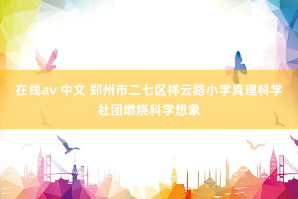 在线av 中文 郑州市二七区祥云路小学真理科学社团燃烧科学想象