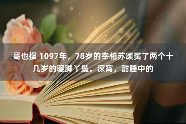哥也操 1097年，78岁的宰相苏颂买了两个十几岁的暖脚丫鬟。深宵，酣睡中的