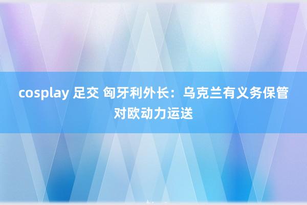 cosplay 足交 匈牙利外长：乌克兰有义务保管对欧动力运送