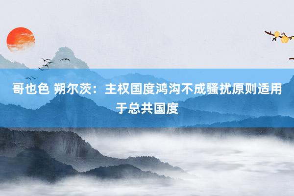 哥也色 朔尔茨：主权国度鸿沟不成骚扰原则适用于总共国度