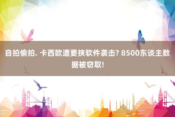自拍偷拍. 卡西欧遭要挟软件袭击? 8500东谈主数据被窃取!