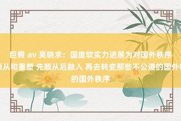 巨臀 av 吴晓求：国度软实力进展为对国外秩序的顺从和重塑 先顺从后融入 再去转变那些不公道的国外秩序