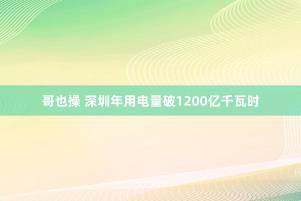 哥也操 深圳年用电量破1200亿千瓦时