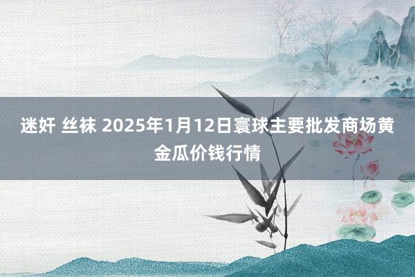 迷奸 丝袜 2025年1月12日寰球主要批发商场黄金瓜价钱行情