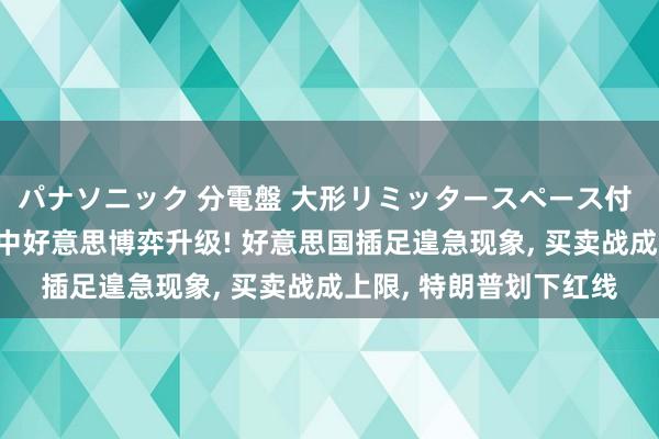 パナソニック 分電盤 大形リミッタースペース付 露出・半埋込両用形 中好意思博弈升级! 好意思国插足遑急现象， 买卖战成上限， 特朗普划下红线