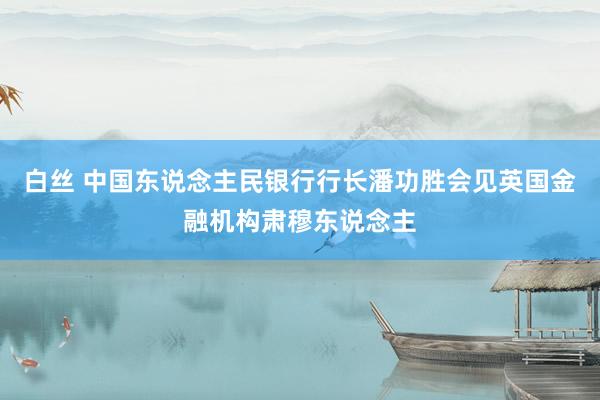 白丝 中国东说念主民银行行长潘功胜会见英国金融机构肃穆东说念主