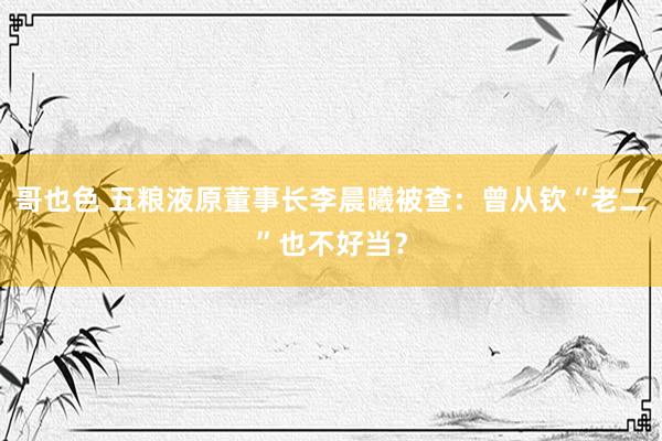 哥也色 五粮液原董事长李晨曦被查：曾从钦“老二”也不好当？