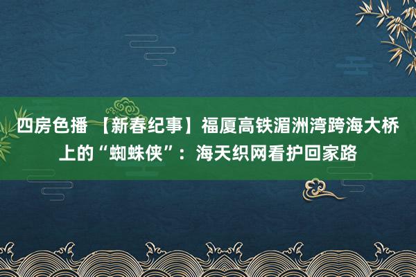 四房色播 【新春纪事】福厦高铁湄洲湾跨海大桥上的“蜘蛛侠”：海天织网看护回家路