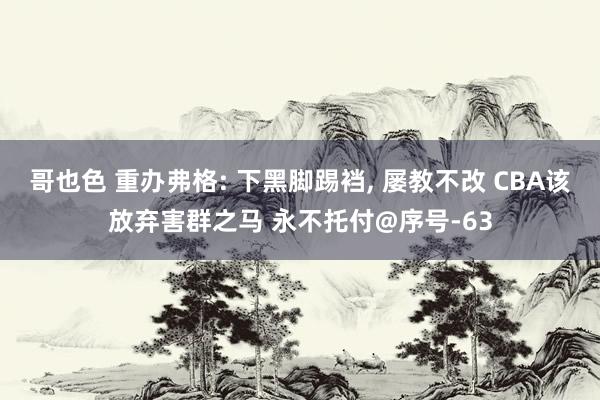 哥也色 重办弗格: 下黑脚踢裆， 屡教不改 CBA该放弃害群之马 永不托付@序号-63