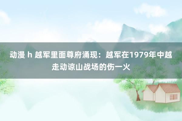 动漫 h 越军里面尊府涌现：越军在1979年中越走动谅山战场的伤一火