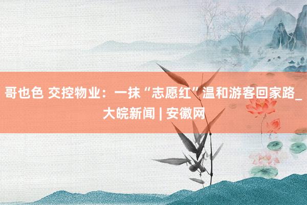哥也色 交控物业：一抹“志愿红”温和游客回家路_大皖新闻 | 安徽网