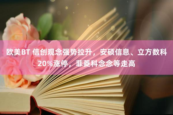 欧美BT 信创观念强势拉升，安硕信息、立方数科20%涨停，菲菱科念念等走高