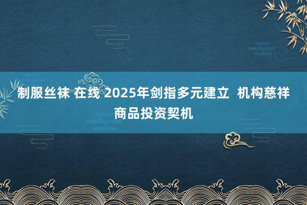 制服丝袜 在线 2025年剑指多元建立  机构慈祥商品投资契机