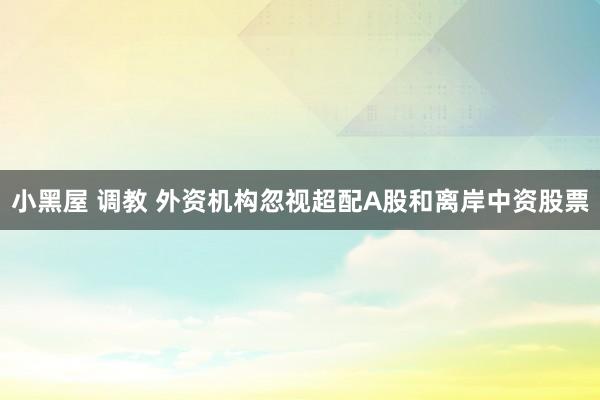 小黑屋 调教 外资机构忽视超配A股和离岸中资股票