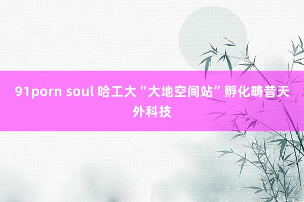 91porn soul 哈工大“大地空间站”孵化畴昔天外科技