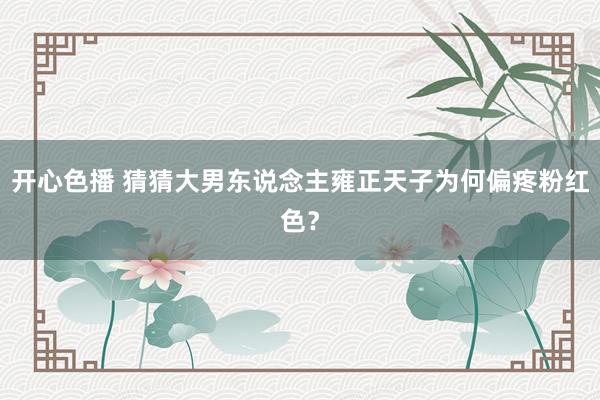 开心色播 猜猜大男东说念主雍正天子为何偏疼粉红色？