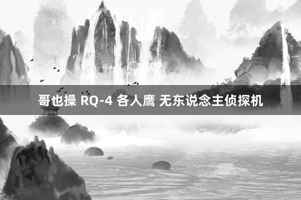 哥也操 RQ-4 各人鹰 无东说念主侦探机