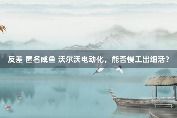 反差 匿名咸鱼 沃尔沃电动化，能否慢工出细活？