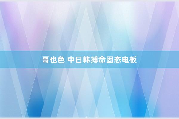哥也色 中日韩搏命固态电板