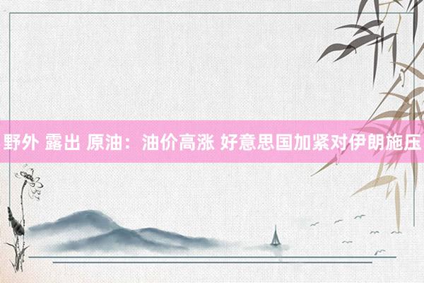 野外 露出 原油：油价高涨 好意思国加紧对伊朗施压