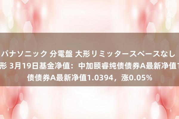 パナソニック 分電盤 大形リミッタースペースなし 露出・半埋込両用形 3月19日基金净值：中加颐睿纯债债券A最新净值1.0394，涨0.05%