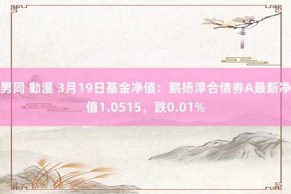 男同 動漫 3月19日基金净值：鹏扬淳合债券A最新净值1.0515，跌0.01%