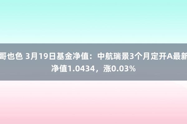 哥也色 3月19日基金净值：中航瑞景3个月定开A最新净值1.0434，涨0.03%