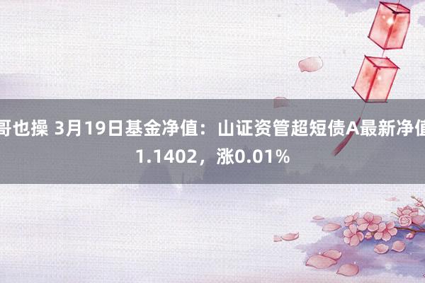 哥也操 3月19日基金净值：山证资管超短债A最新净值1.1402，涨0.01%