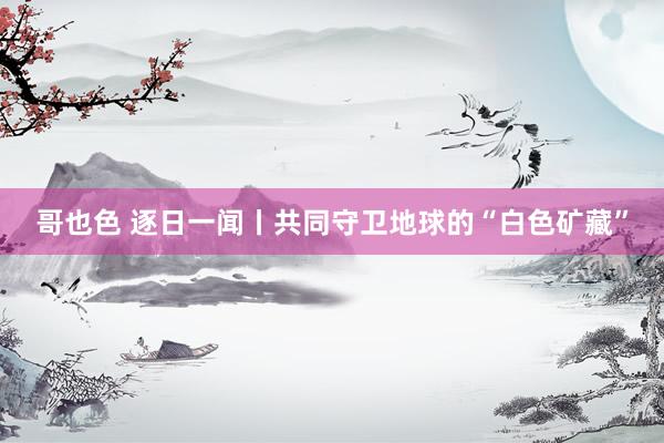 哥也色 逐日一闻丨共同守卫地球的“白色矿藏”
