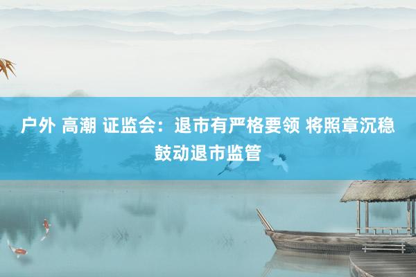 户外 高潮 证监会：退市有严格要领 将照章沉稳鼓动退市监管