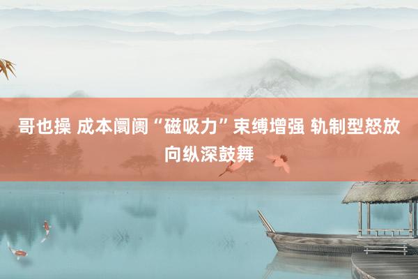 哥也操 成本阛阓“磁吸力”束缚增强 轨制型怒放向纵深鼓舞