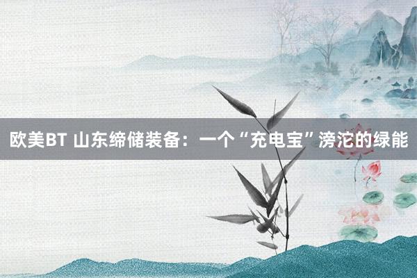 欧美BT 山东缔储装备：一个“充电宝”滂沱的绿能