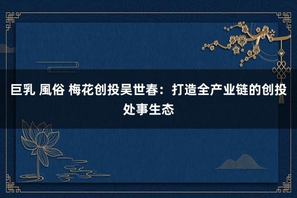 巨乳 風俗 梅花创投吴世春：打造全产业链的创投处事生态