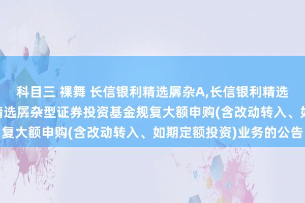 科目三 裸舞 长信银利精选羼杂A，长信银利精选羼杂C: 对于长信银利精选羼杂型证券投资基金规复大额申购(含改动转入、如期定额投资)业务的公告