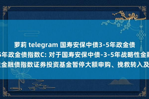 萝莉 telegram 国寿安保中债3-5年政金债指数A,国寿安保中债3-5年政金债指数C: 对于国寿安保中债-3-5年战略性金融债指数证券投资基金暂停大额申购、挽救转入及如期定额投资业务的公告