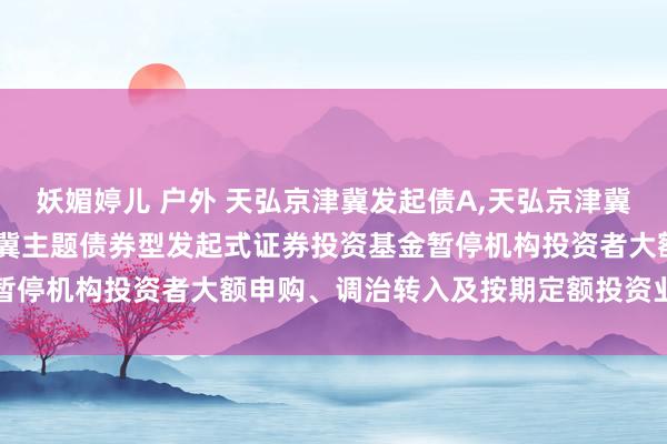 妖媚婷儿 户外 天弘京津冀发起债A,天弘京津冀发起债C: 对于天弘京津冀主题债券型发起式证券投资基金暂停机构投资者大额申购、调治转入及按期定额投资业务的公告
