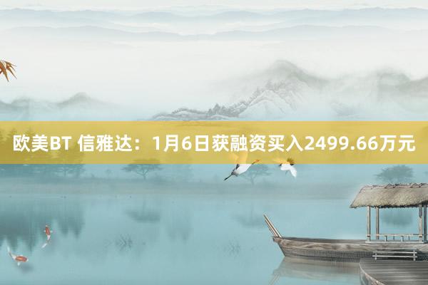 欧美BT 信雅达：1月6日获融资买入2499.66万元