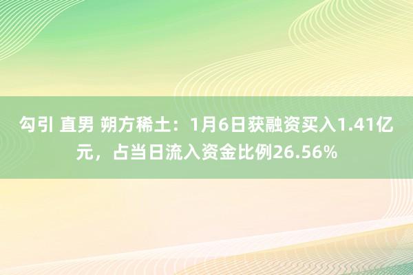 勾引 直男 朔方稀土：1月6日获融资买入1.41亿元，占当日流入资金比例26.56%