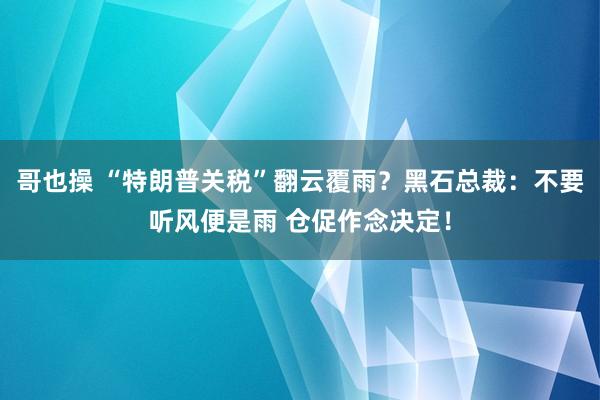 哥也操 “特朗普关税”翻云覆雨？黑石总裁：不要听风便是雨 仓促作念决定！