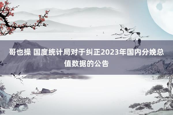 哥也操 国度统计局对于纠正2023年国内分娩总值数据的公告