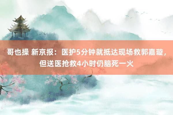 哥也操 新京报：医护5分钟就抵达现场救郭嘉璇，但送医抢救4小时仍脑死一火