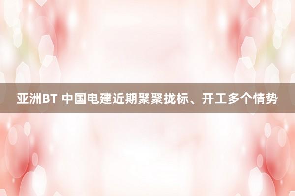 亚洲BT 中国电建近期聚聚拢标、开工多个情势